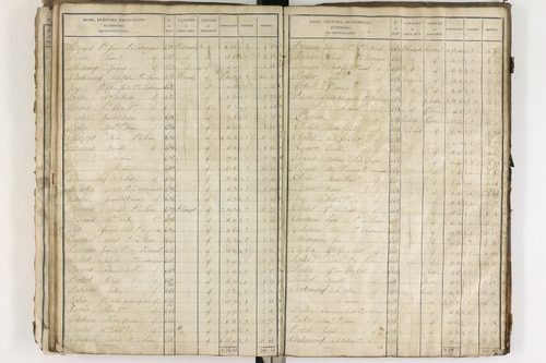 Entraigues - P 10258/2      Section D