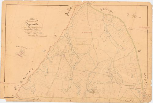 Espinasse - 53 FI 430      Section A du Bois de Pierre Brune, 3ème feuille