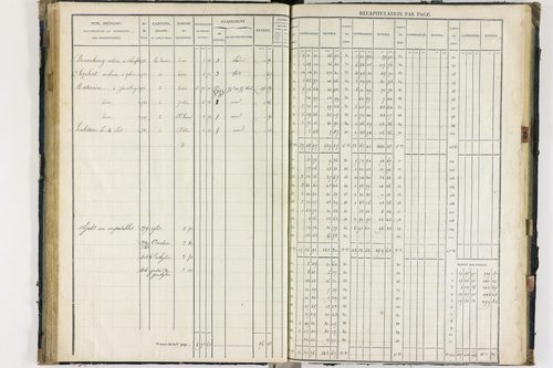 Flat - P 11259/3      Section C