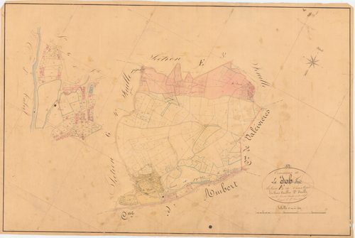 La Forie - 55 FI 446      Section E de Courtine, 2ème feuille