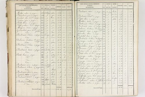 Fournols - P 12432/3      Section C