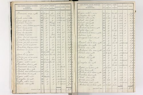 Gelles - P 9382/1      Section A