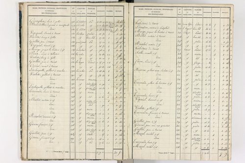 Gelles - P 9382/1      Section A