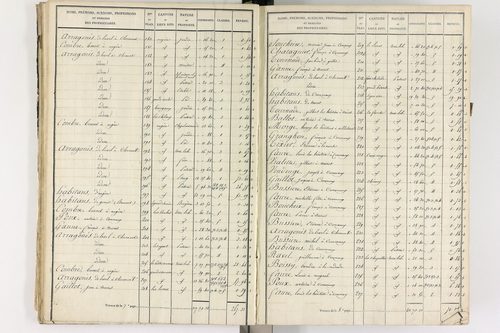 Gelles - P 9382/2      Section B