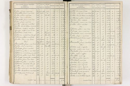 Gelles - P 9382/3      Section C