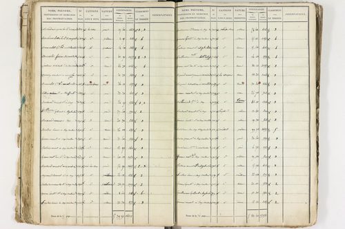 Gelles - P 9381/1      Section C