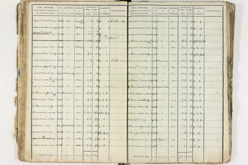 Gelles - P 9381/1      Section C