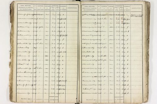Gelles - P 9381/1      Section C