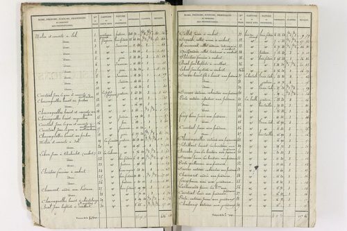 Grandrif - P 12433/1      Section A