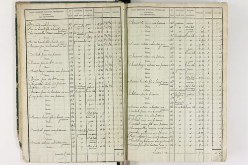 Grandrif - P 12433/1      Section A