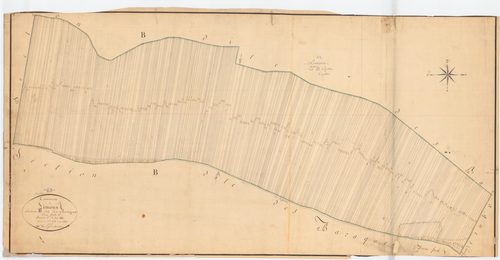 Limons - 55 FI 558      Section B des Baraques, 2ème feuille