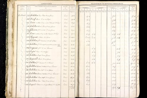 Luzillat - P 12444/1      Section D