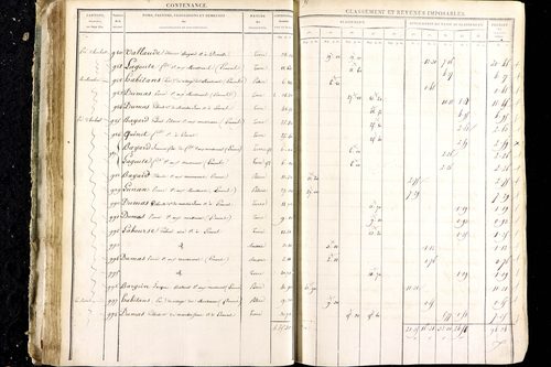 Luzillat - P 12444/1      Section D