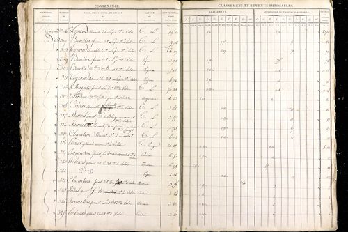 Malauzat - P 10308      Section D (1813)