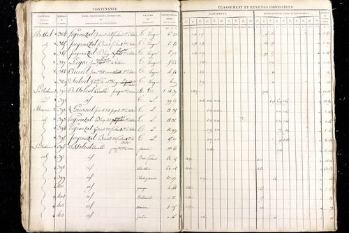 Malauzat - P 10308      Section D (1813)