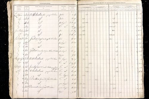 Malauzat - P 10308      Section D (1813)