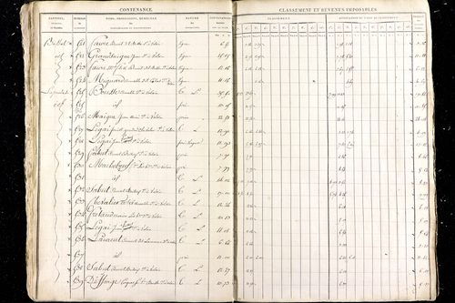 Malauzat - P 10308      Section D (1813)