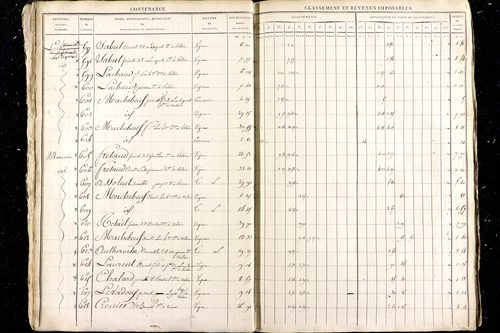 Malauzat - P 10308      Section D (1813)