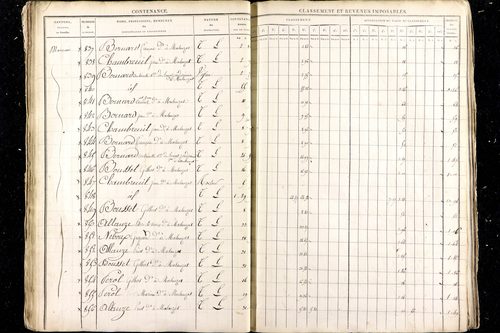 Malauzat - P 10308      Section D (1813)