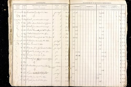 Malauzat - P 10307      Section C (1813)