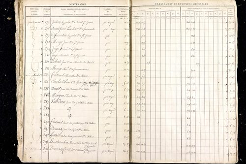 Malauzat - P 10307      Section C (1813)