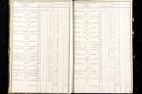 Malintrat - P 9466/1      Section A