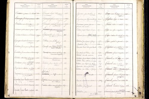 Manglieu - P 9475      Folios 1201 à 1711