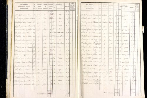 Marsac-en-Livradois - P 12462/1      Section H