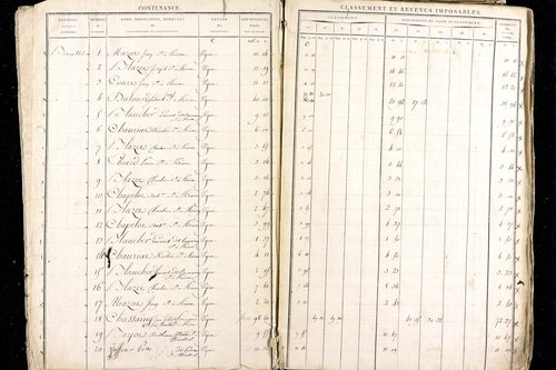 Ménétrol - P 10345      Section D (1813)