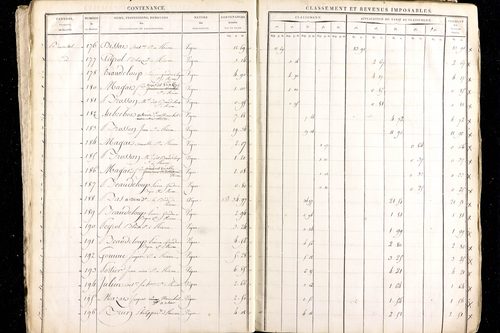 Ménétrol - P 10345      Section D (1813)