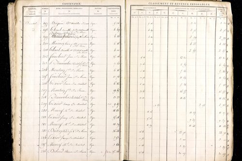 Ménétrol - P 10345      Section D (1813)