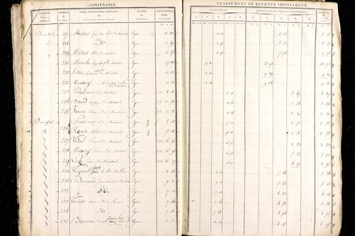 Ménétrol - P 10345      Section D (1813)