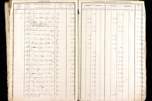 Ménétrol - P 10345      Section D (1813)