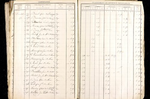 Ménétrol - P 10345      Section D (1813)