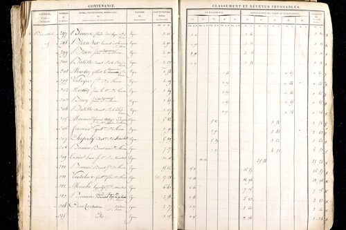Ménétrol - P 10345      Section D (1813)