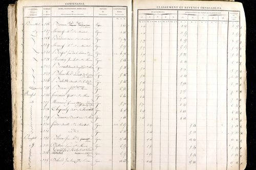 Ménétrol - P 10345      Section D (1813)