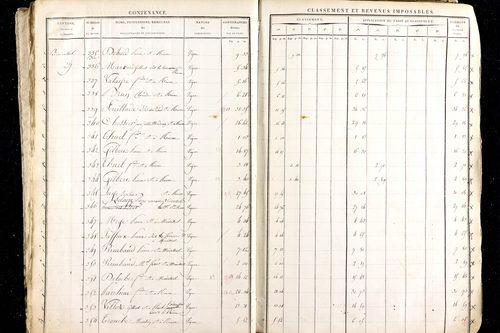 Ménétrol - P 10345      Section D (1813)