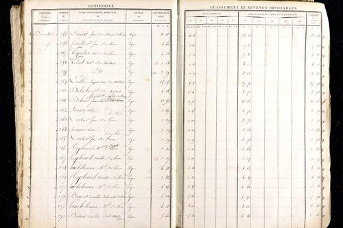 Ménétrol - P 10345      Section D (1813)