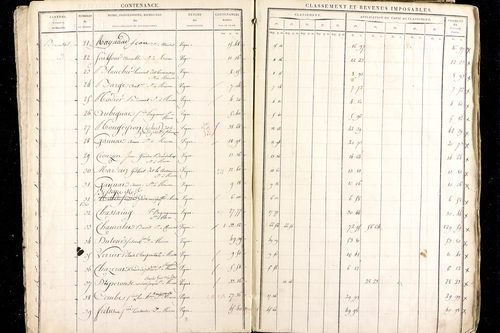 Ménétrol - P 10345      Section D (1813)