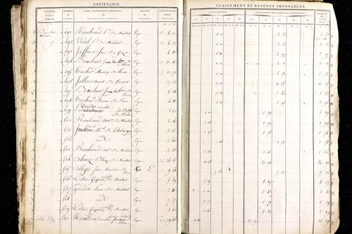Ménétrol - P 10345      Section D (1813)