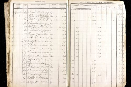 Ménétrol - P 10345      Section D (1813)