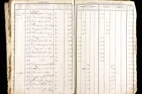 Ménétrol - P 10345      Section D (1813)