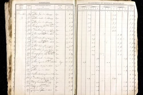Ménétrol - P 10345      Section D (1813)