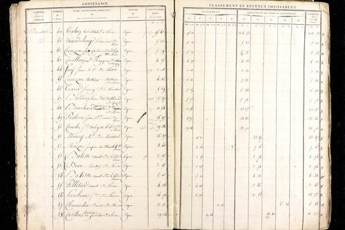 Ménétrol - P 10345      Section D (1813)
