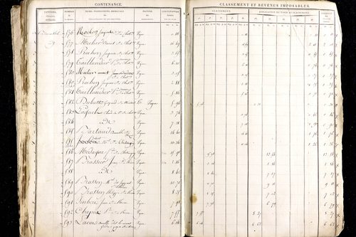 Ménétrol - P 10345      Section D (1813)