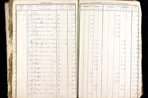 Ménétrol - P 10345      Section D (1813)
