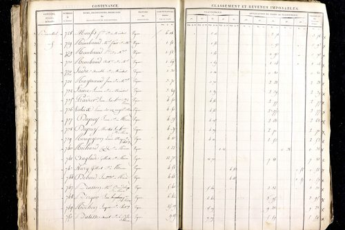 Ménétrol - P 10345      Section D (1813)