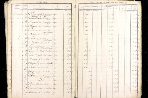 Ménétrol - P 10345      Section D (1813)