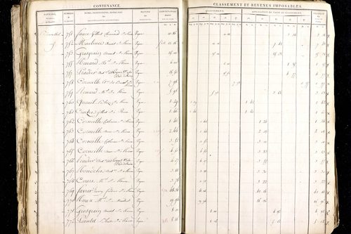 Ménétrol - P 10345      Section D (1813)