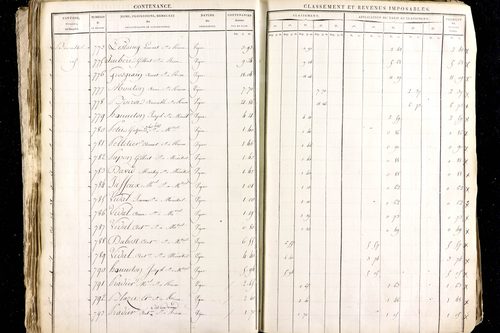 Ménétrol - P 10345      Section D (1813)